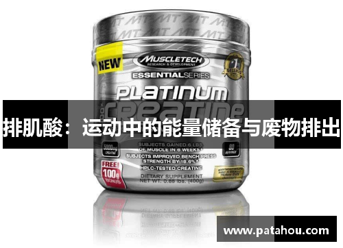排肌酸：运动中的能量储备与废物排出