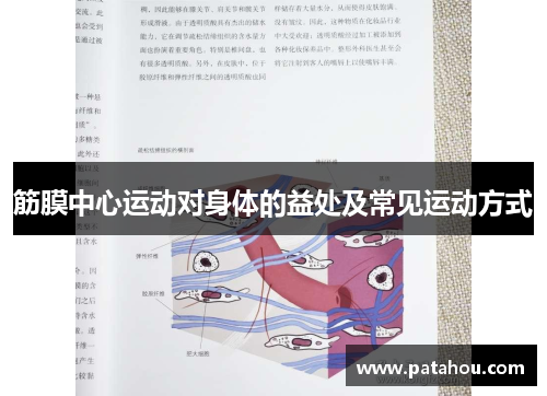 筋膜中心运动对身体的益处及常见运动方式