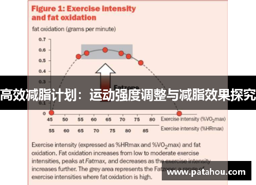 高效减脂计划：运动强度调整与减脂效果探究
